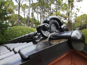 IMG_6680